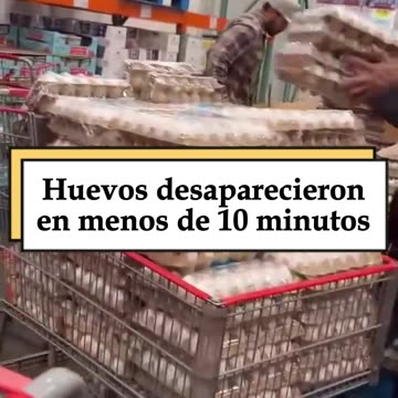 People are hoarding Costco eggs, hundreds at a time.