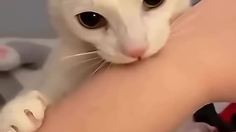 He Betrayed Me