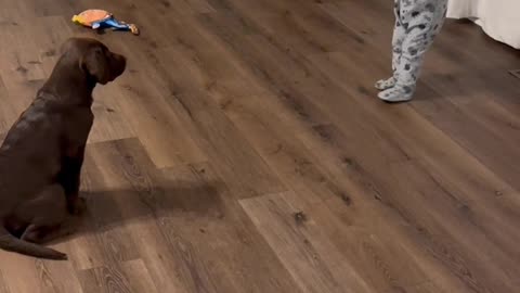 Kiddo training her puppy