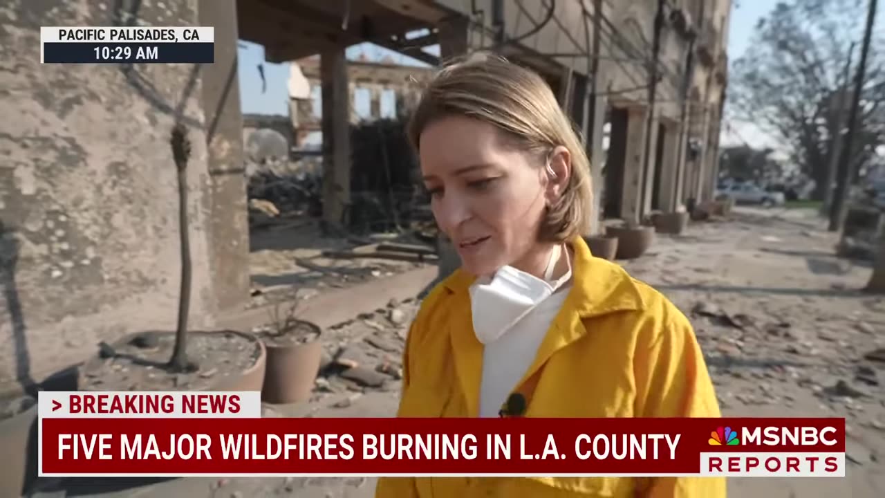 MSNBC Host Shares Gut-Wrenching Stories As She Tours Her Old Neighborhood Destroyed