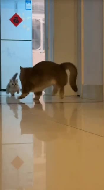 When you call the baby and get startled by response