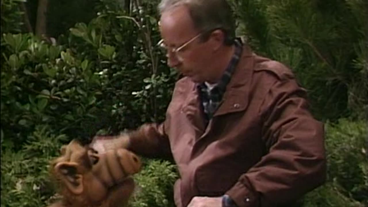 CLASSIC TELEVISION ' ALF ' ALIEN LIFE FORM