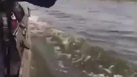 💥🌍 Nigeria War | Boko Haram vs ISWAP Clash on Lake Chad | RCF