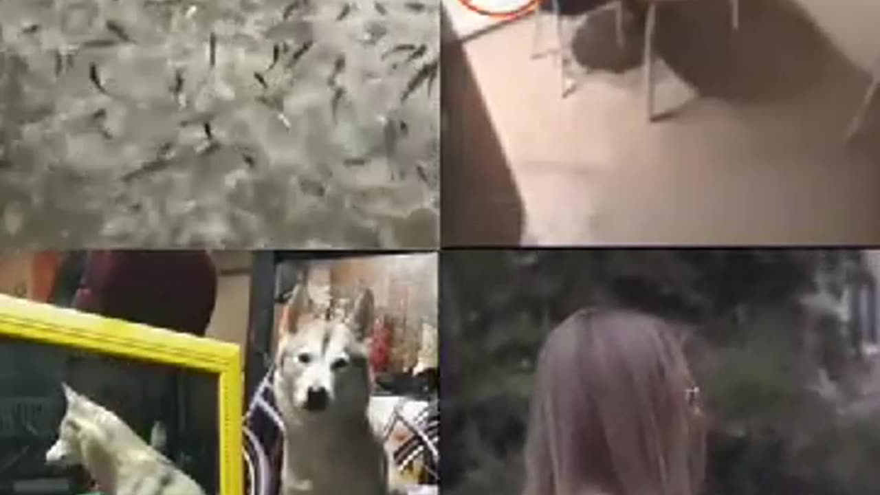 top secret file # mystery things