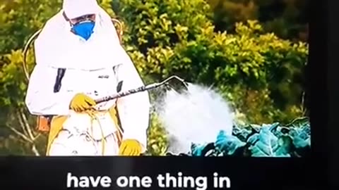 Bread - watch what you eat