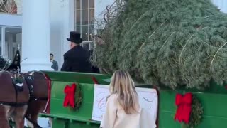 Does the Christmas tree go up before Thanksgiving or after? 👀🎄