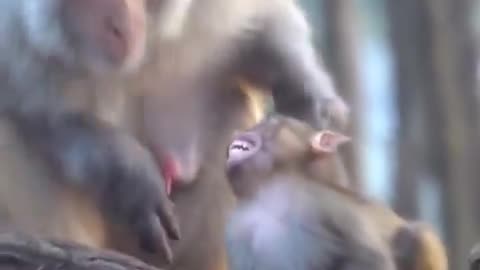 She was checking to see if it was her kid or nah.🐒