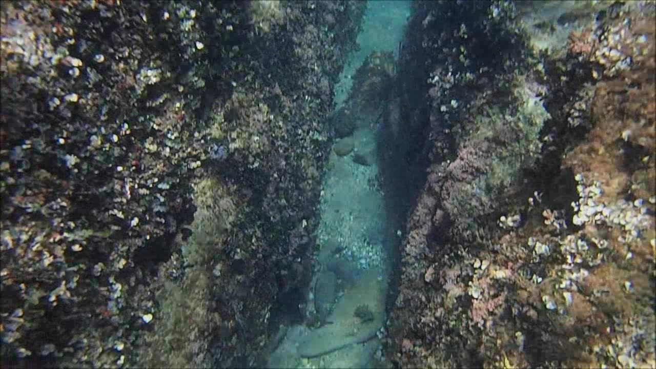 Snorkeling in Khalkidhiki, Greece.