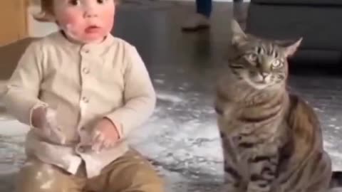 baby and cat blaming each other 😺🥹