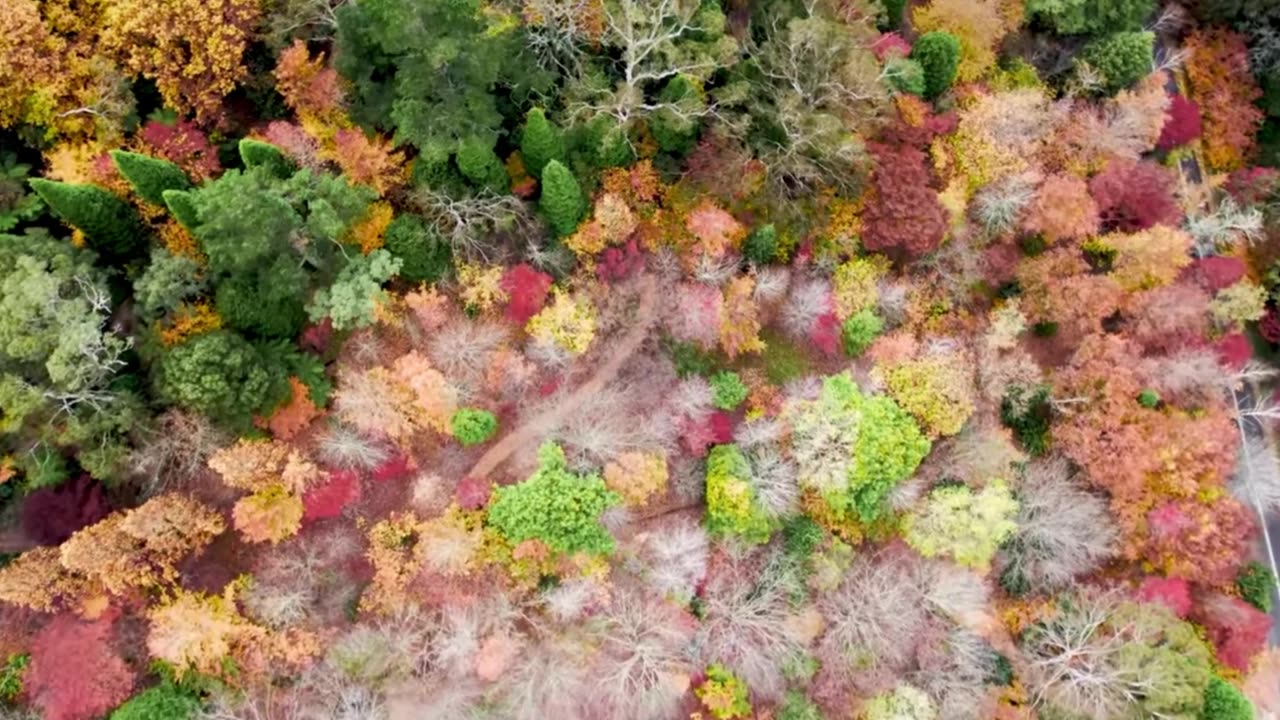 Calm Piano Lofi Classics