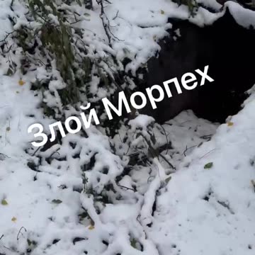 Ukraine war combat footage 12/24/24