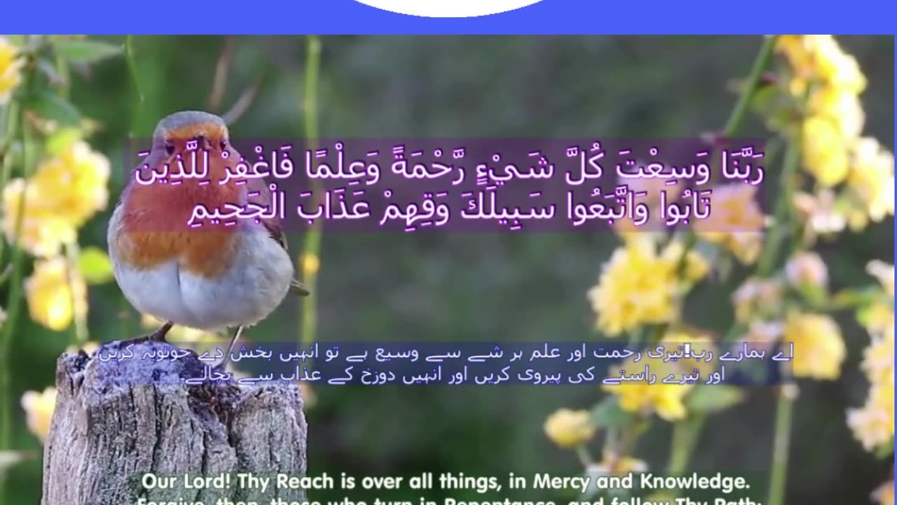 Top 40 Rabbana Duas Every Muslim Should Know (dua no 34) #shorts