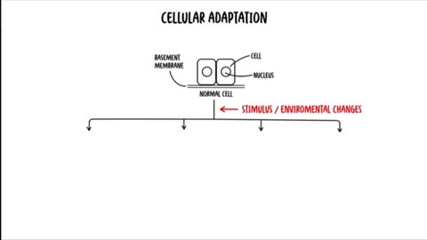 Cellular adaptation