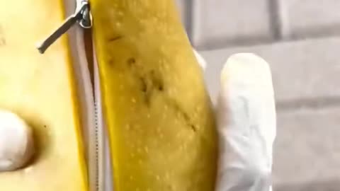 💡✨ A Clever Hack You'll Wish You Knew Sooner | LifeHacksDaily