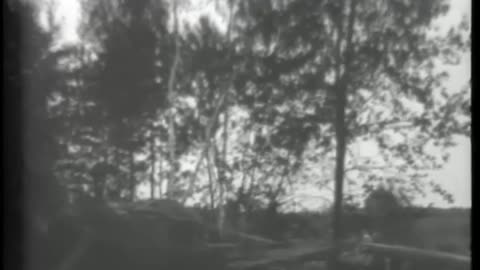 [CLEARING LAND], ca. 1... - [CLEARING LAND], ca. 1919 [SAFETY PARADE, DETROIT], ca. 1919 - fc-fc-253