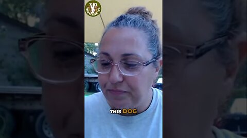 The Unbreakable Bond: A Day with Zeus, the Dog I Absolutely Love