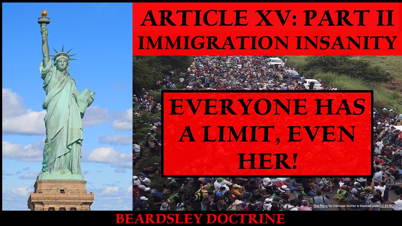 Beardsley Doctrine: Article XV. Immigration Insanity-Part 2- Everyone Has a Limit!