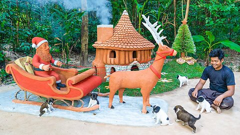 Rescue Puppies Build the Ultimate Christmas Dog House