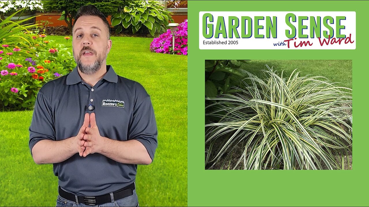 Garden Sense with Tim Ward - 03.12.25