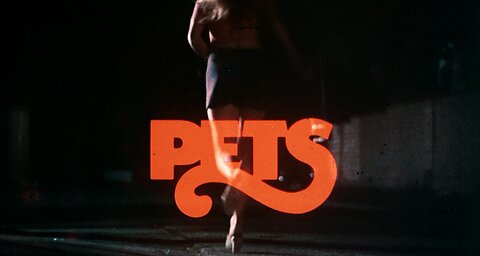 Pets [Mediabook Blu-ray & DVD Covers A & B & C]