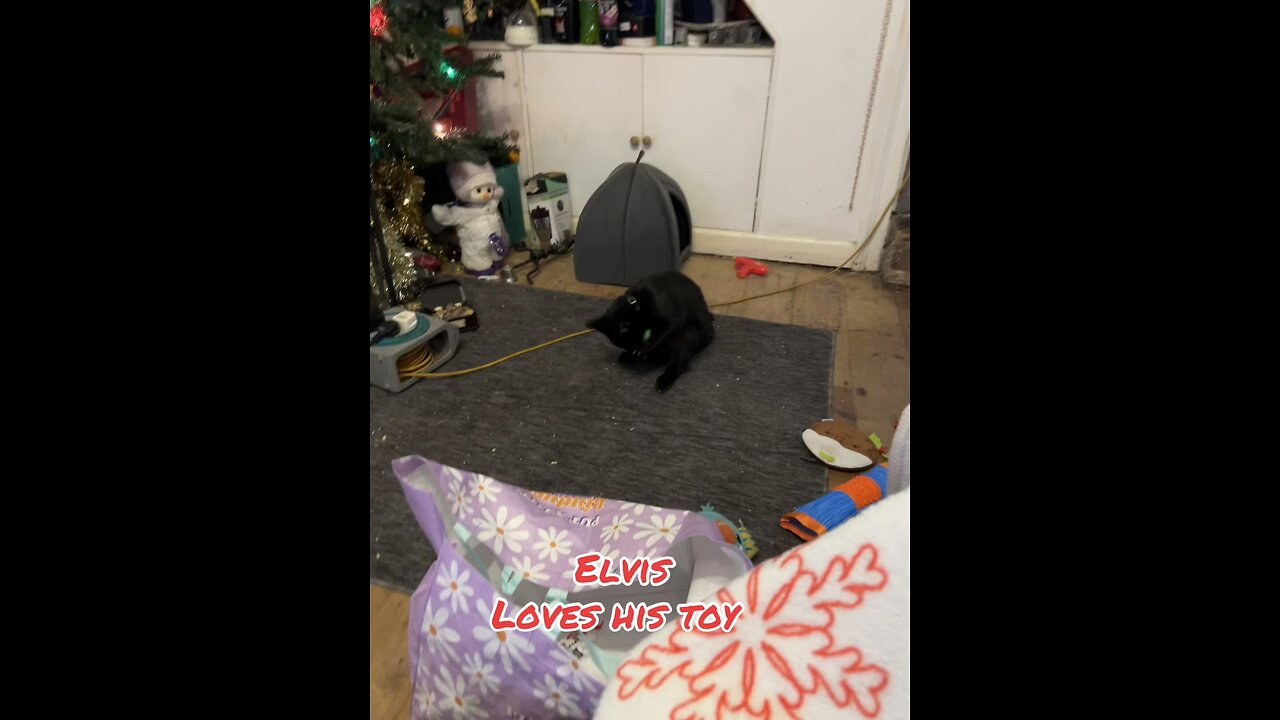 Elvis new toy
