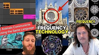 Everything is Frequency - Autodidactic
