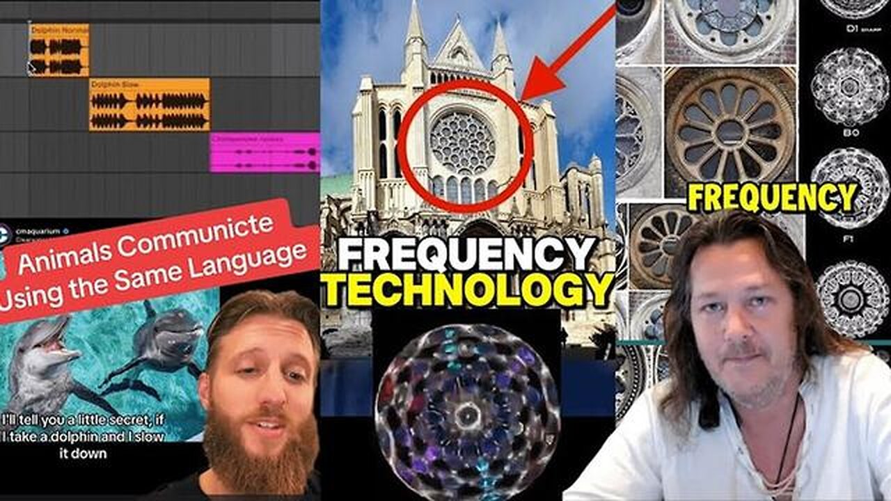 Everything is Frequency - Autodidactic
