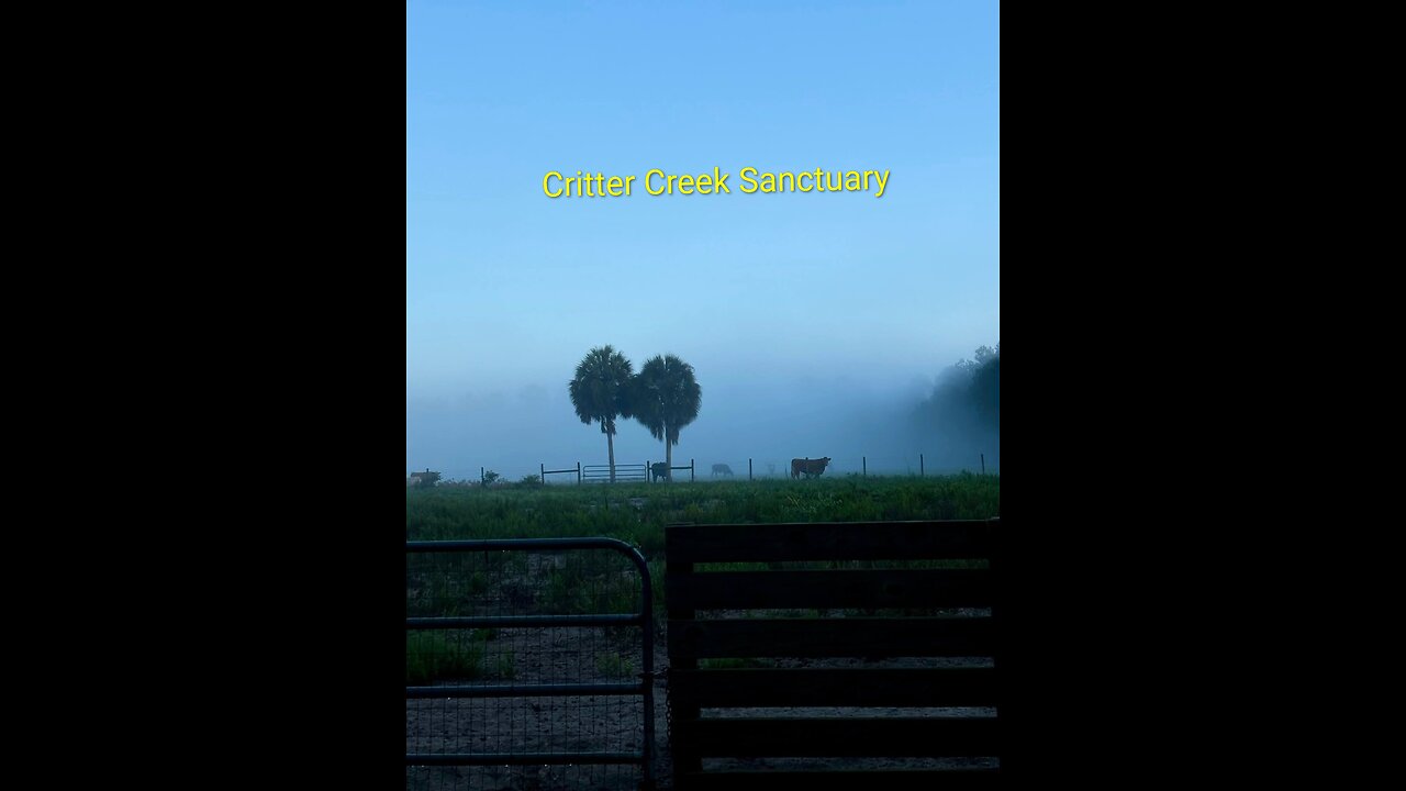 El Santuario Critter Creek