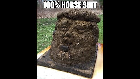 Donald Trump: "I love Jews, gays and blacks. And fuck Hitler."