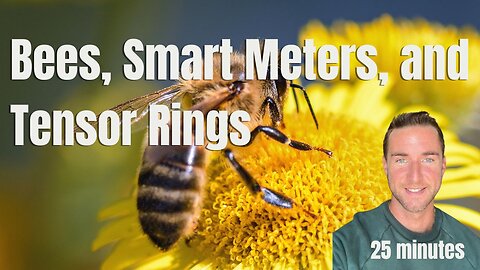 Bees, Smart meters, Dragons blood, and Tensor Rings