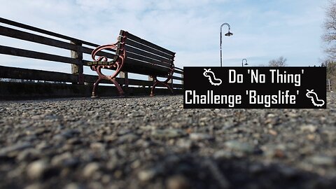 🐛 Do 'No Thing' Challenge 'Bugslife' 🐛 New Earth Creations #meditationshorts #donothing #dronevideo