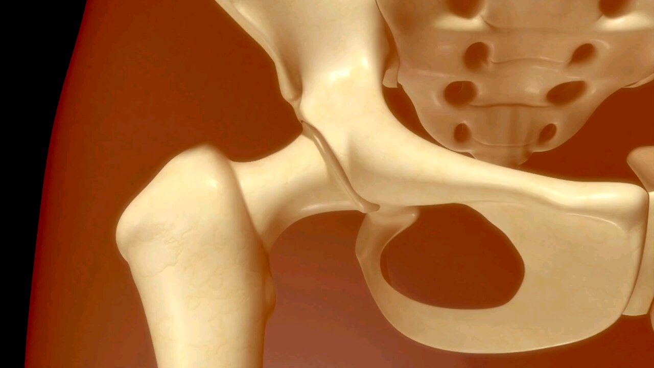 Best Calcium-Rich Foods for Strong Bones and Health