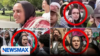 Independent journalist exposes professional anti-Israel protesters | National Report