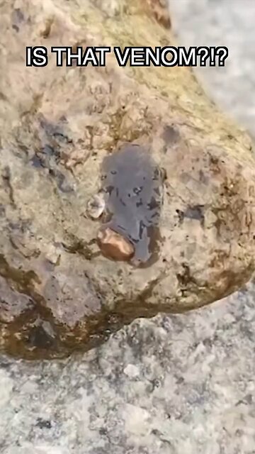 Parasite watch till the end