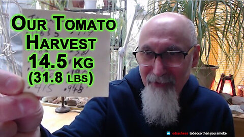 Our Tomato Harvest From Last Year Was 14.5 kg (31.8 lbs)