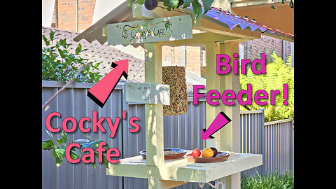 Cocky's Cafe Bird Feeder - Joey (and Birdy) Approved!