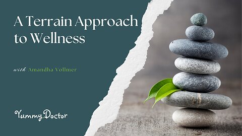 A Terrain Approach to Wellness