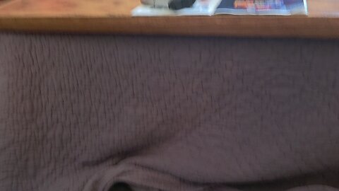 French bulldog in kutatsu table