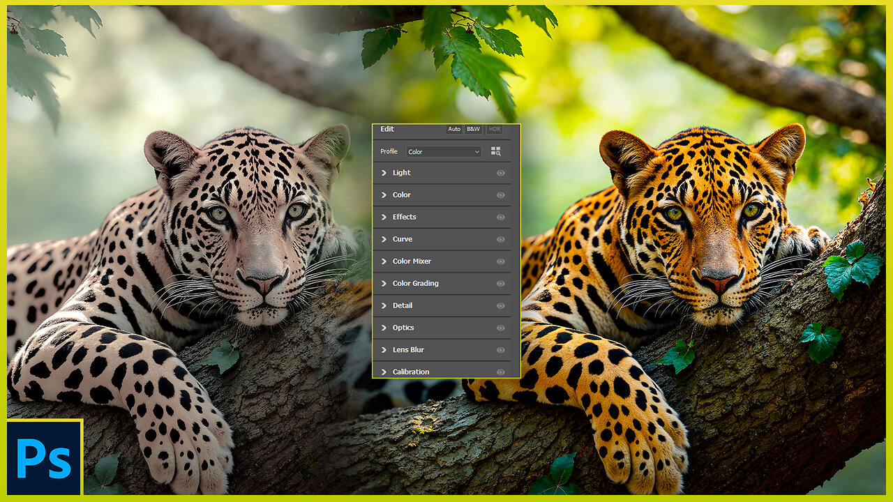 Intro to Camera Raw Filters Photoshop Tutorial for Beginners
