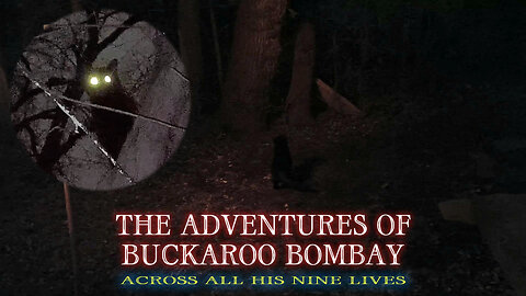 The Adventures Of Buckaroo Bombay - Across All His Nine Lives