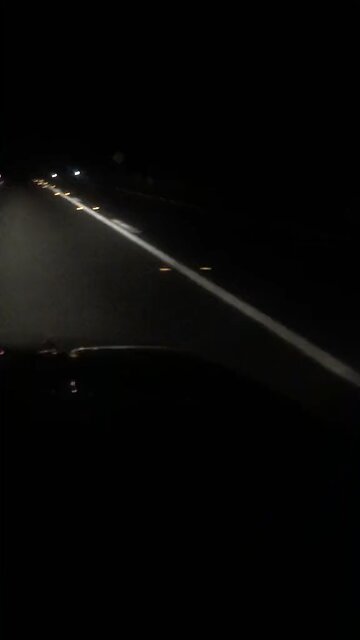 Kangaroos hopping at night in Australia