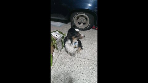 hemi's tricks