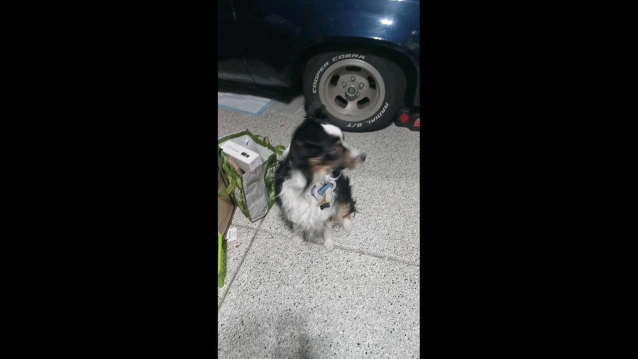 hemi's tricks