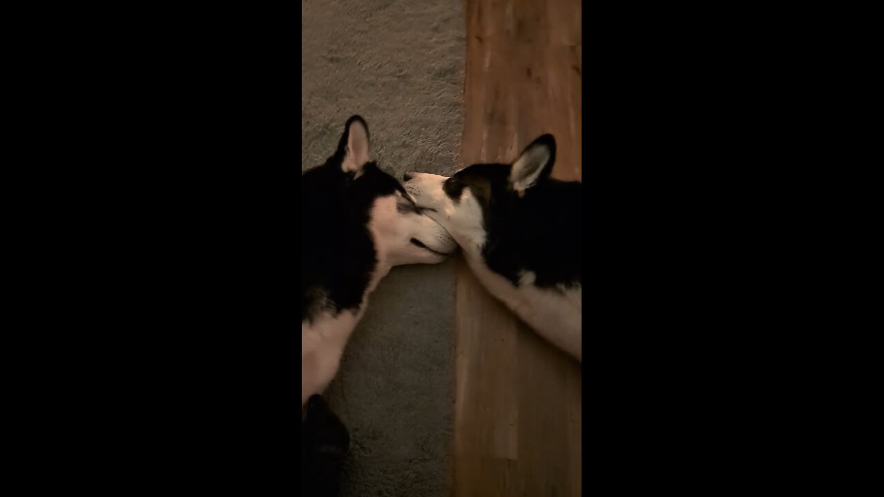 They are so funny together