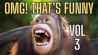 OMG! That's Funny Volume 3