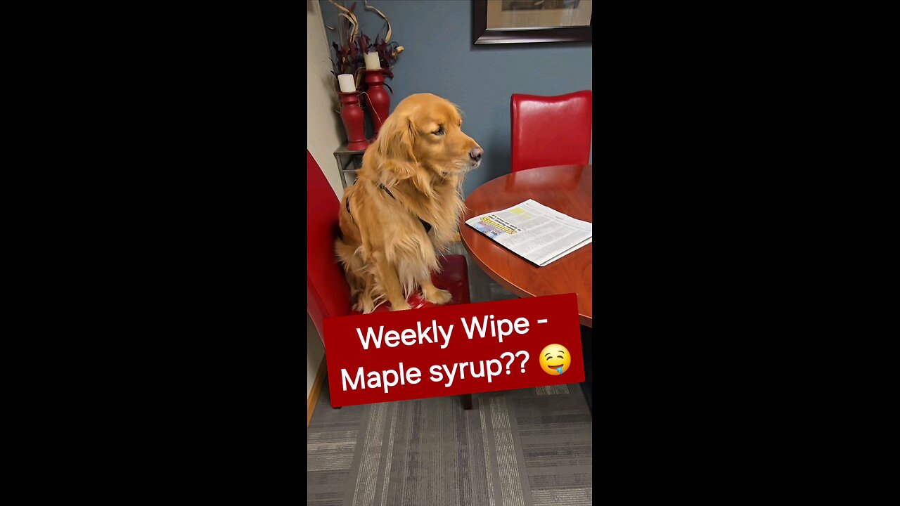 Who doesn't like Maple Syrup??
