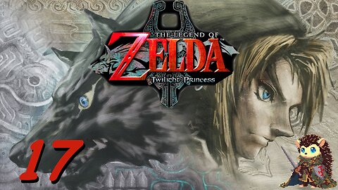 Collecting Poes, Bugs, Hearts & Donations - The Legend of Zelda: Twilight Princess GameCube [17]