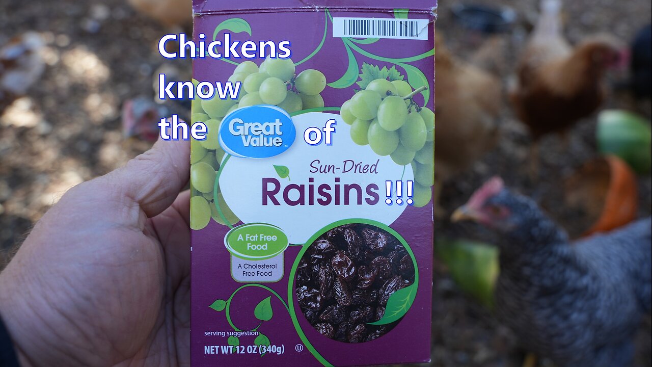 Only chickens know the "Great Value" of raisins.
