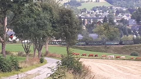 Fichtelbergbahn Cranzahl 08/25 Erzgebirge