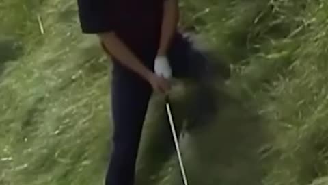"Bethpage Black: Ryder Cup's Most Dangerous Course ⛳"
